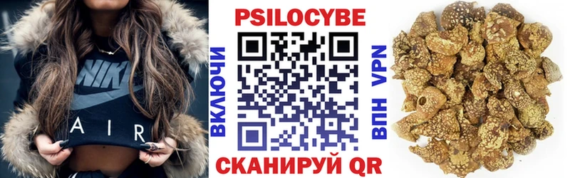 купить  сайты  Новоалександровск  сайты даркнета Telegram  Галлюциногенные грибы прущие грибы 